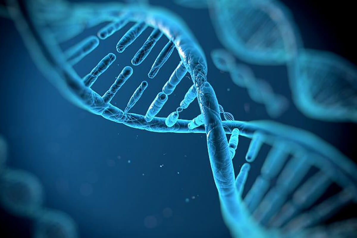 double helical structure of dna 2 1